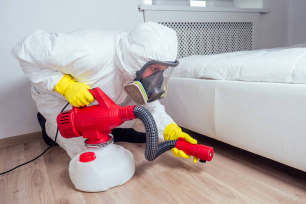 Best Local Pest Control Services  in Prospect Rk, PA
