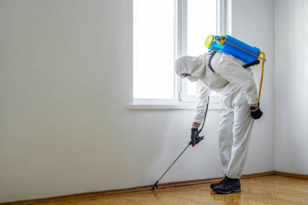 Best Cockroach Control Services  in Prospect Rk, PA