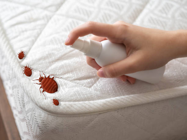 Best Exterminator Services  in Prospect Rk, PA