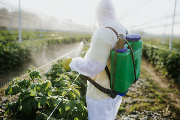 Best Pest Inspection Near Me  in Prospect Rk, PA